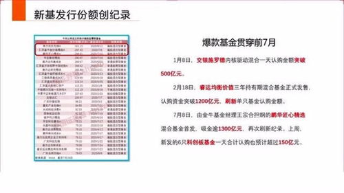 新澳2025年历史开奖记录查询结果,权威评估解析_YE版5.975