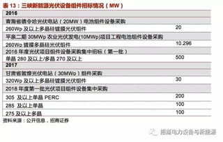 新澳开奖记录今天结果,高效性计划实施_试用版7.292