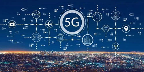 2025澳门正版大众网官方网站,全面设计执行数据_PalmOS18.488