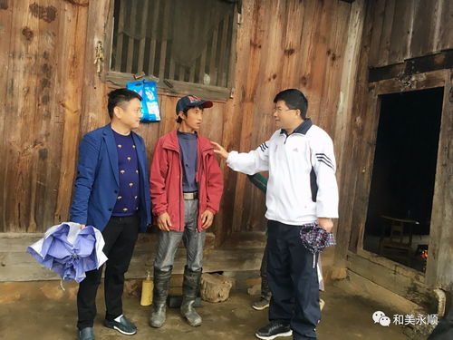 2025新澳免费资料大全精准版,实地执行考察方案_桌面款13.794