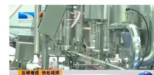 湖北防疫动态更新与实用指南（2025年12月27日最新资讯）