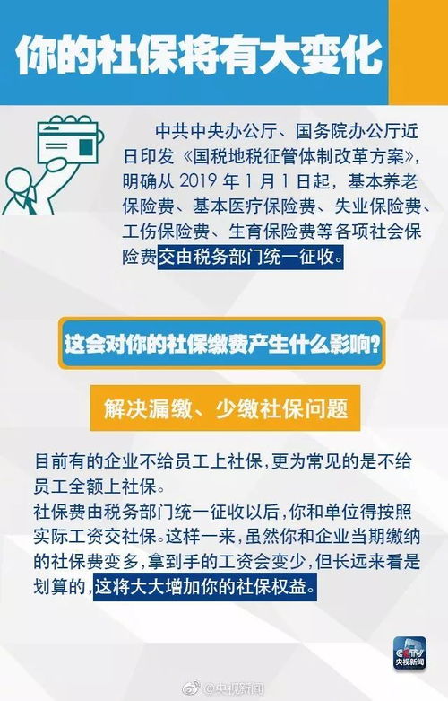 最新社保查询指南，全面解析您的权益与福利（2025年12月版）