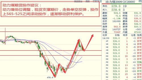 binbinyouli 第3页