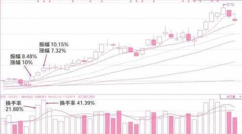 揭秘连续涨停股票的独特特征与投资策略考量