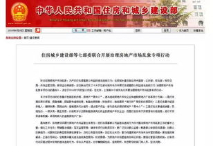 举报股票违法行为，维护金融市场秩序的关键行动