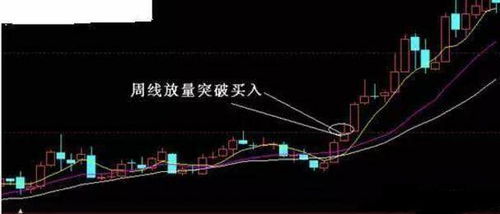 kaizhangshengting 第2页