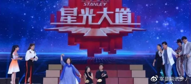 明星志向5攻略揭秘，踏上星光大道的成功之路
