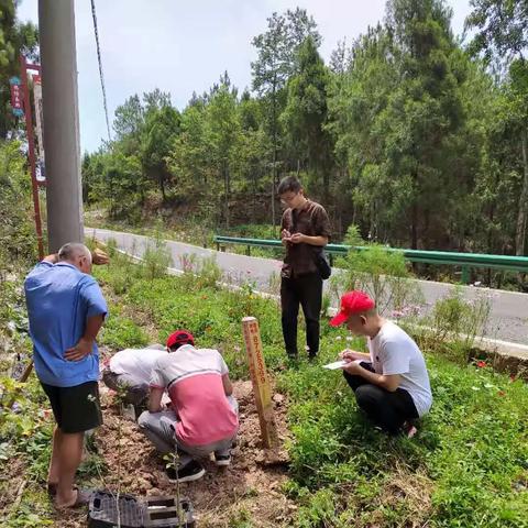 管道涂层测厚仪价格解析与购买指南