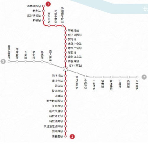 土拨鼠价格揭秘，影响价格因素大探讨