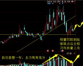 独家揭秘，全面解析900929股票投资潜力与风险分析