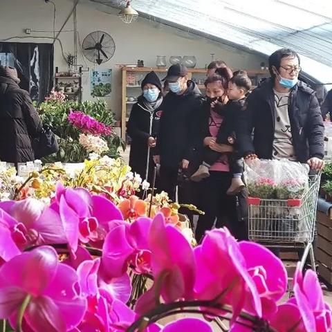 钟姿精选 第109页