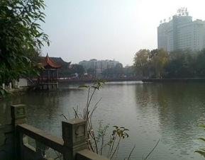 衣不完采 第2页
