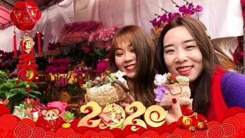 新年独家花絮完整视频，新年mv 