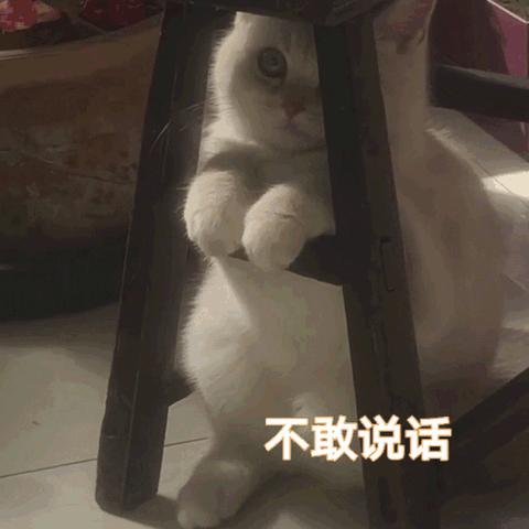 钟姿精选 第103页