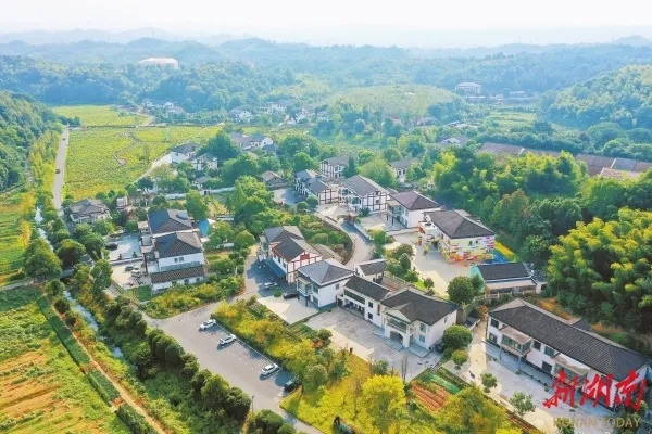 窑市村新闻聚焦，乡村振兴新篇章开启
