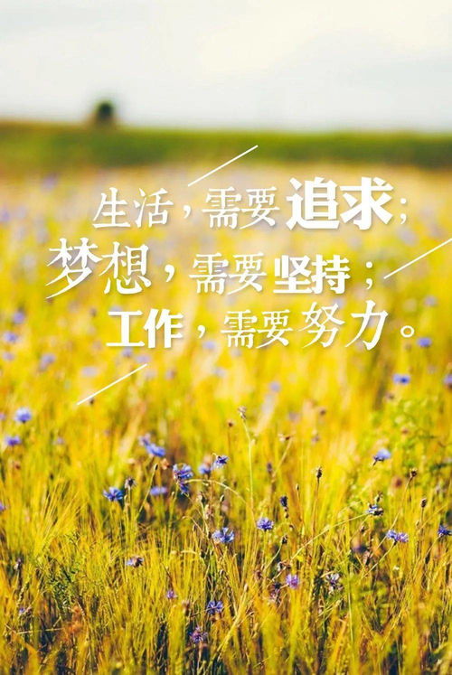 biannucejian 第2页