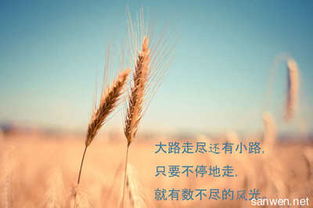 励志成长之路，受伤句子背后的力量与磨砺之路
