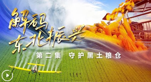 林下风范 第2页
