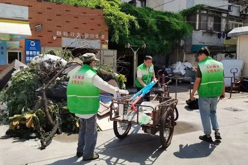 顺正河社区新篇章揭秘，探寻社区书记的最新动态