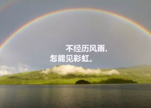 风驰电掣 第2页