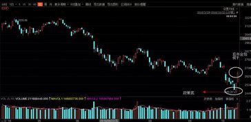 伊力特股票背后的潜力与价值深度解析