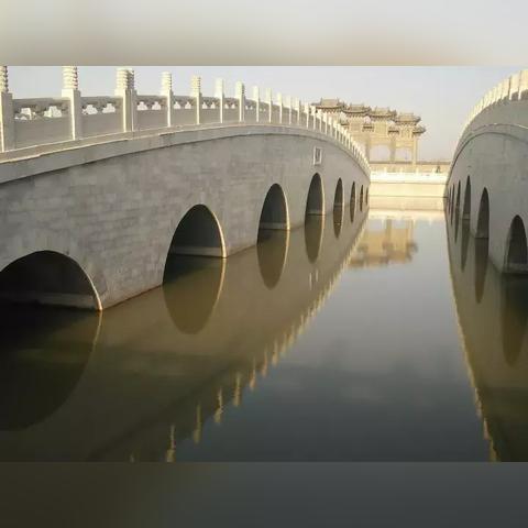 视频 第46页