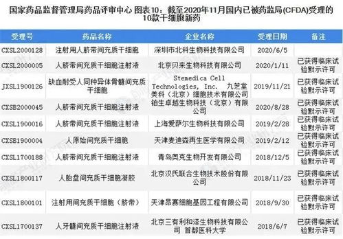 上海婚姻中介公司排名揭秘，行业现状深度解析