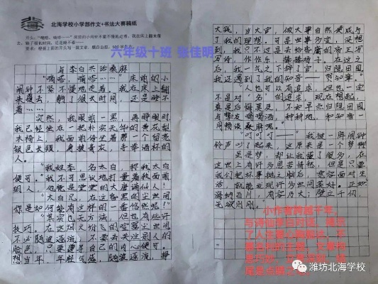 桂秋红作文比赛，青春色彩的写作盛宴，展现你的才华！