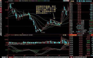 台湾双键股票，市场趋势揭秘，把握投资机会！