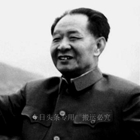 胡家最新消息全面速递