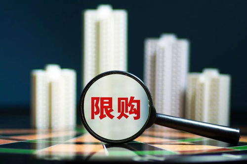 政通路最新新闻头条，城市发展与政策动向全解析