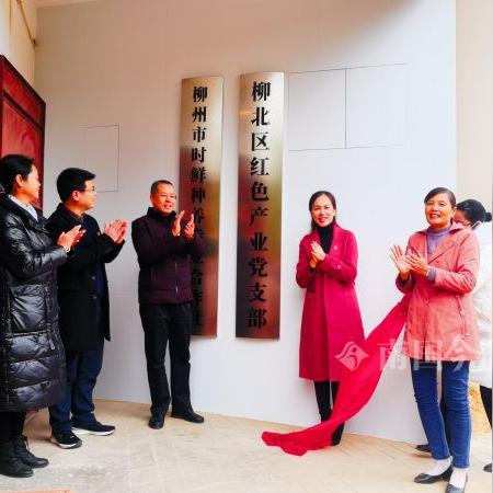 柳北区发展动态速递，聚焦地区新闻头条