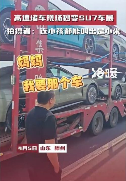 成都堵车与女子视频风潮，背后的故事揭秘