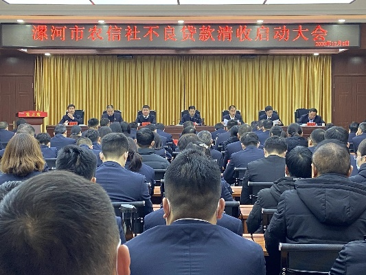 漯河最新头条新闻回顾