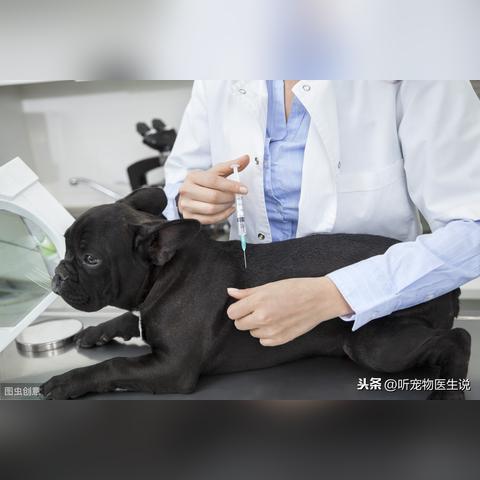 局部麻醉公司排行榜及行业影响力深度解析