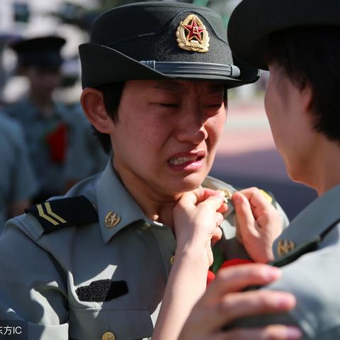 视频 第12页
