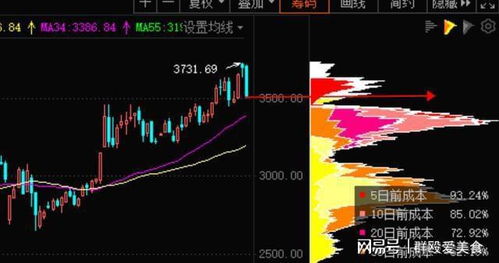 揭秘股票600771，深度解析与未来前景展望