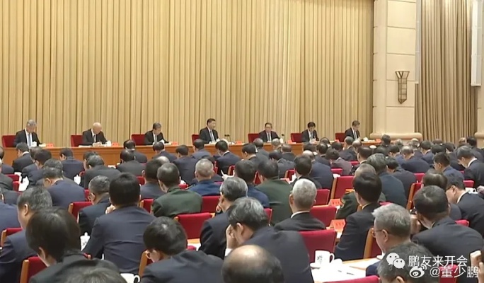 不落实党中央，不折不扣贯彻落实党中央决策部署方面存在问题 