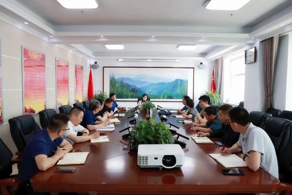 不够强专题发言，专题研讨不到位如何整改 