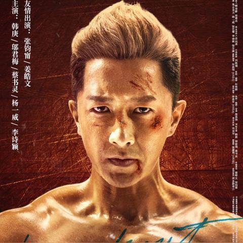 世界拳王激烈搏斗大排名！谁将称霸擂台？