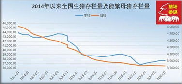 牡丹江汽油价格走势揭秘，市场趋势与影响因素深度解析