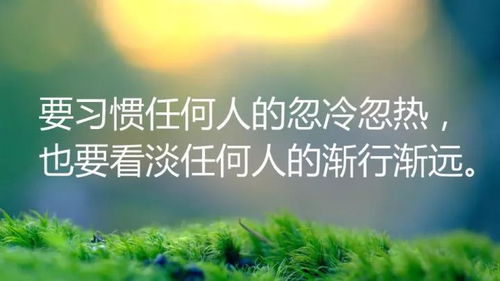 子夜女性励志语录，勇敢追梦，生命光彩绽放时