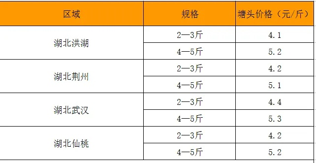 青鱼最新行情揭秘，今日价格走势及市场影响因素分析