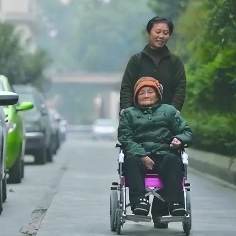 成都主城区保姆市场最新动态揭秘，深度解析最新保姆招聘信息