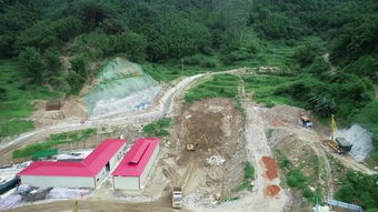 今日宾阳油价最新动态，查询油价，出行更省心